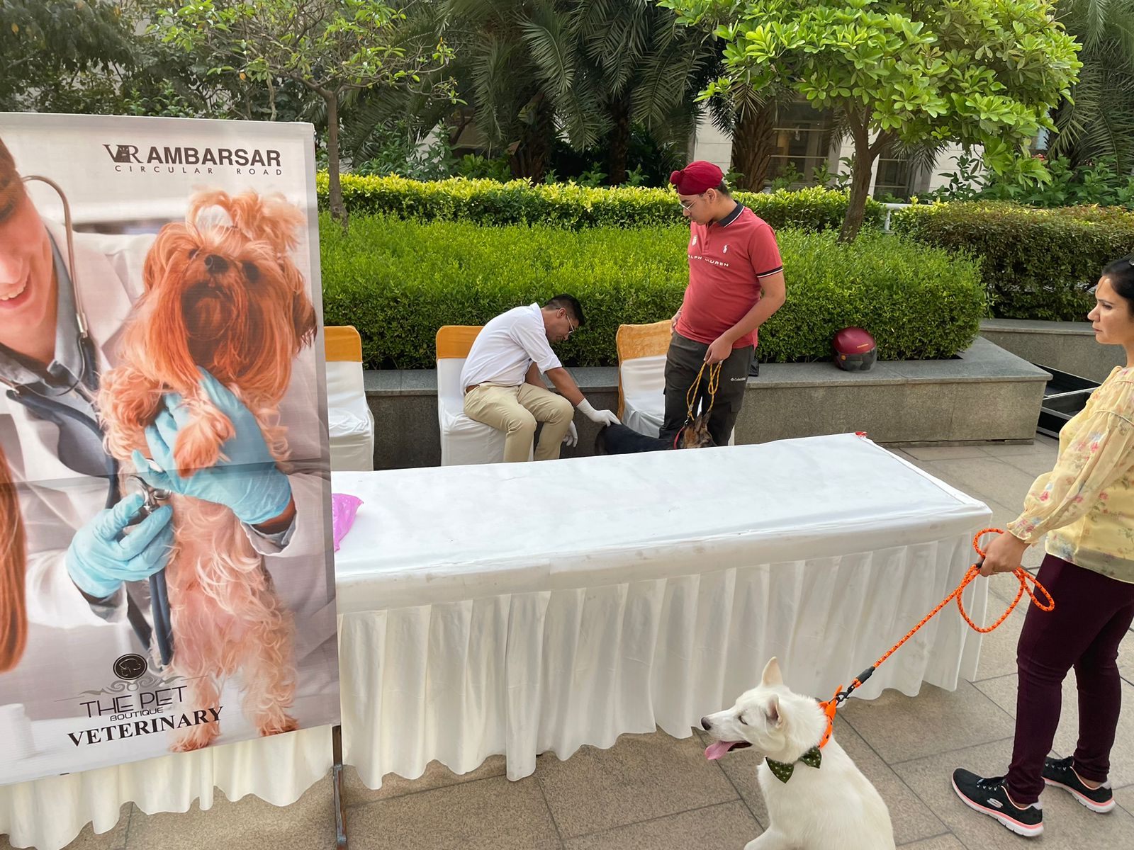 World Veterinary Day
